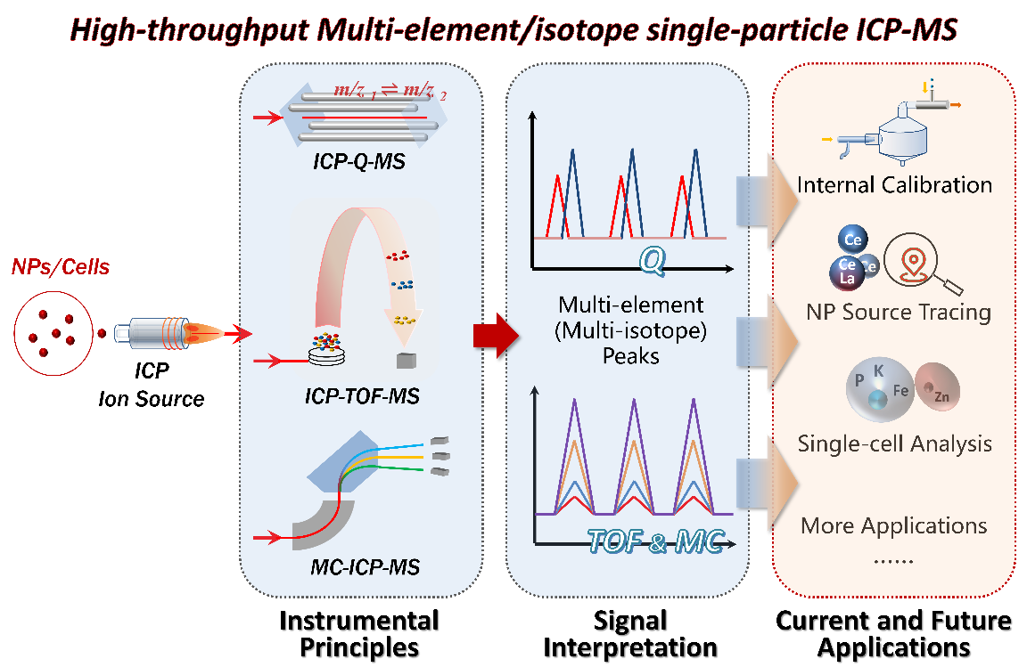 高通量多元素-单颗粒/单细胞-ICPMS分析