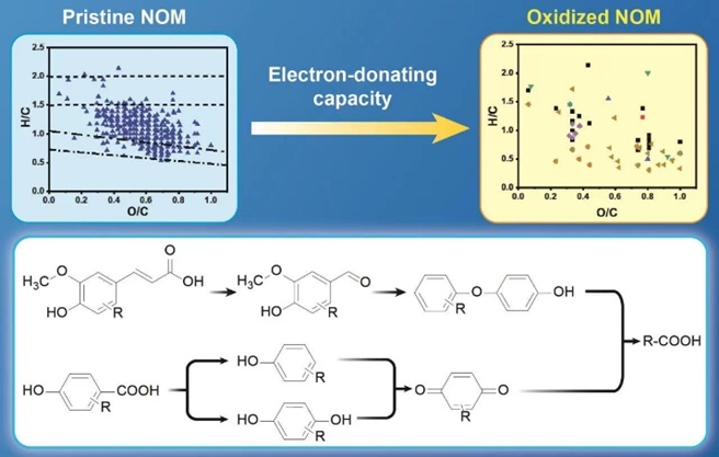 揭示天然有机质酚类基团的多重供电子途径