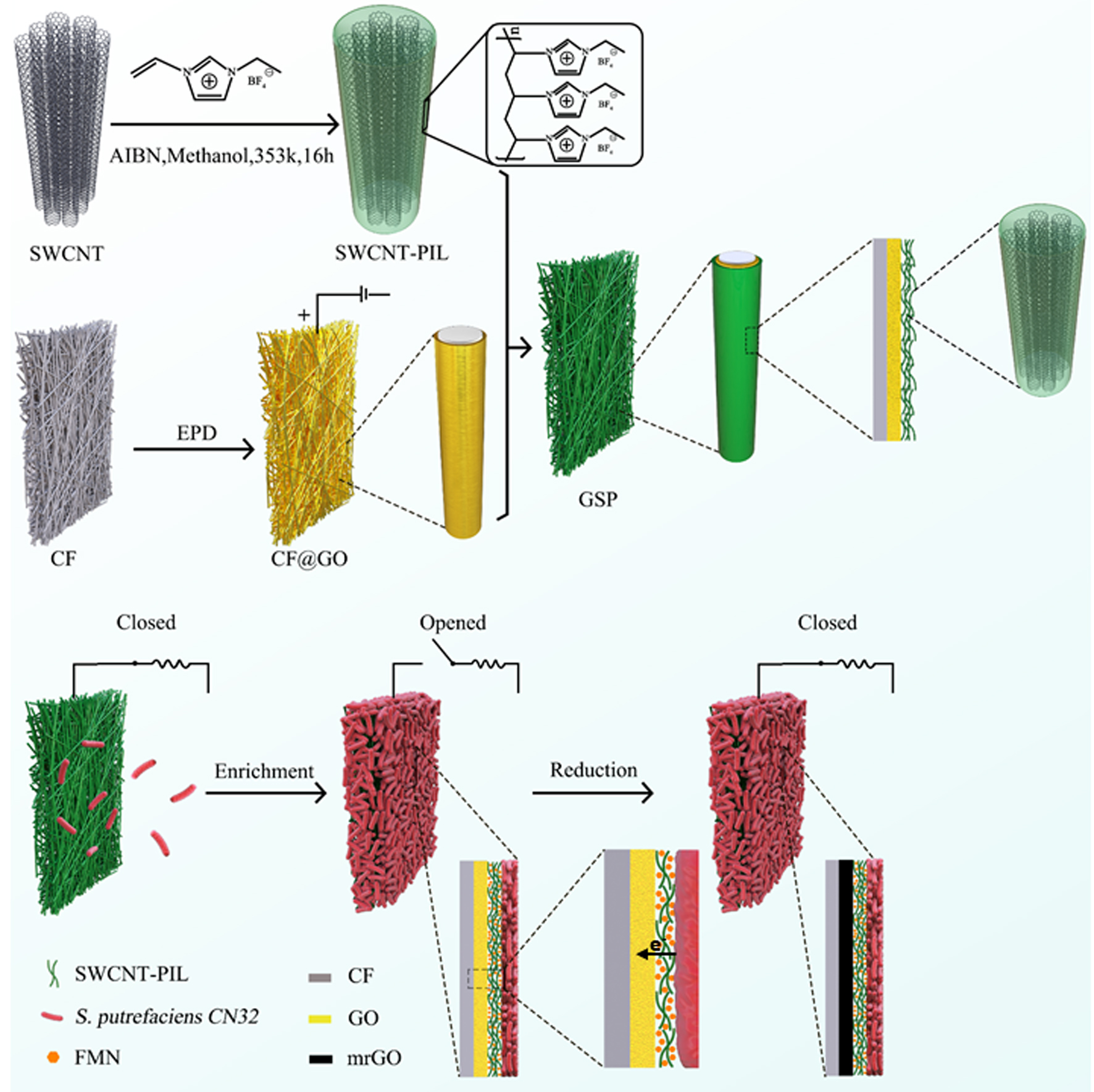 界面以及界面下层协同工程助力生物电提取