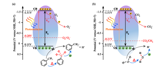 热活化触发光催化氧化甲苯苄基C-H和还原CO2的机制
