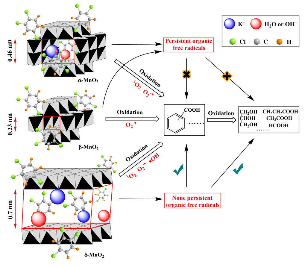 不同晶型MnO2催化降解1,2,4-三氯苯过程中的自由基和相关反应机理研究