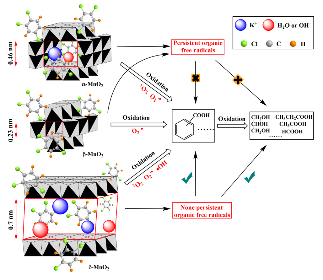 不同晶型MnO2催化降解1,2,4-三氯苯过程中的自由基和相关反应机理研究.png